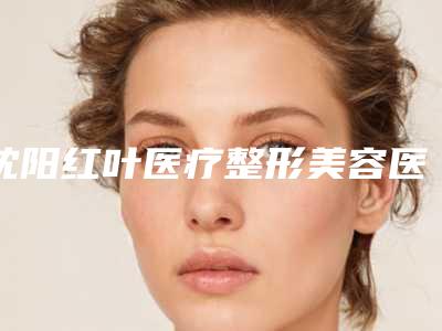 沈阳红叶医疗整形美容医院价格(价目)表趋势公开附做垫鼻手术案例